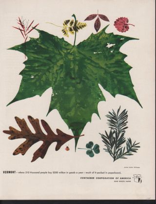 1946 Arthur Williams Vermont Artist Maple Leaf Syrup Tree Abstract Art Print Ad photo