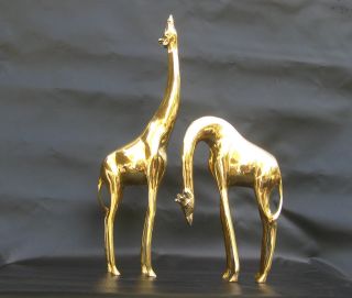 Vintage Mid - Century Pair Brass Giraffes - Tall - Hollywood Regency Glam photo