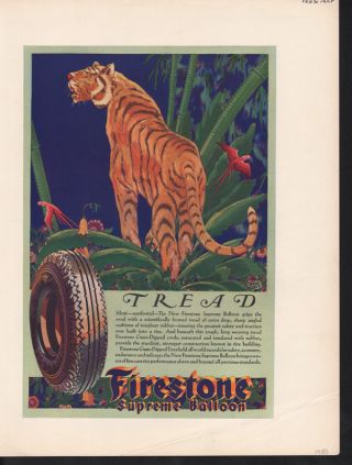 1930 Firestone Tire Auto Davis Tiger Jungle Flower Bird photo