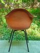 Eames Miller Early Zenith Arm Shell Dax Chair,  Salmon Orange,  Mid - Century Orig. Post-1950 photo 3