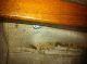 Mid Century Domino Mobler Danish Modern Love Seat Sofa Mid-Century Modernism photo 2