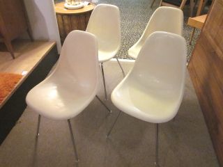 Set Of Four Eames/herman Miller Parchment Fiberglass Side Chairs C1980 photo