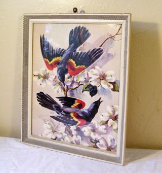 Vintage Great Mid Century Bird Lithograph Floral Bb1 photo
