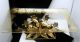 Hollywood Regency Centerpiece Tray Italian Gilt Tole Roses Mid-Century Modernism photo 4