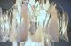 Mazzega Vtg Mid Century Modern Glass Petal Light Fixture Chandelier Italy Venini Mid-Century Modernism photo 5