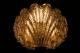 60s Crystal Flushmount Sconce Wall Light Shell Mid Century Modernism Mid-Century Modernism photo 3