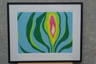 Signed Abstract 70s Vintage Silkscreen Print Fowler Mod photo
