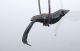 Vintage Bird Parrot In Brass Custom Made Mid-Century Modernism photo 4