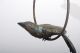 Vintage Bird Parrot In Brass Custom Made Mid-Century Modernism photo 5