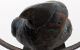Vintage Bird Parrot In Brass Custom Made Mid-Century Modernism photo 8