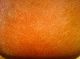 Eames Herman Miller Terracotta Red Orange Salmon Fiberglass Shell Chair Armchair Mid-Century Modernism photo 10