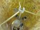 Excellent Custom Monumental Murano Glass Tiled Ceiling Fixture C1960s Mid-Century Modernism photo 5