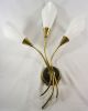 Aesthetic Art Deco Ligthing Modernist Calla Sconces Plastic Shade 1950 ' S Mid-Century Modernism photo 1