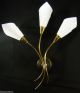 Aesthetic Art Deco Ligthing Modernist Calla Sconces Plastic Shade 1950 ' S Mid-Century Modernism photo 3