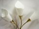 Aesthetic Art Deco Ligthing Modernist Calla Sconces Plastic Shade 1950 ' S Mid-Century Modernism photo 5