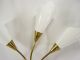 Aesthetic Art Deco Ligthing Modernist Calla Sconces Plastic Shade 1950 ' S Mid-Century Modernism photo 8