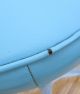 Cool Adjustable Seat Mid Century Modern Industrial /dental Stool On Wheels Mid-Century Modernism photo 2
