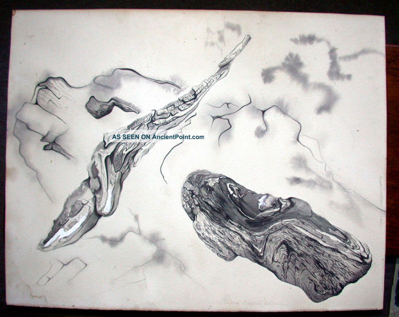 Eleanor Crocker Larson Surrealist Drawing Pencil Signed Mid-Century Modernism photo