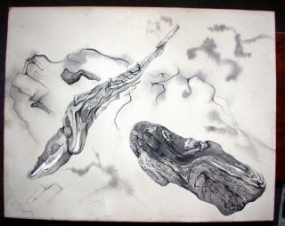 Eleanor Crocker Larson Surrealist Drawing Pencil Signed photo