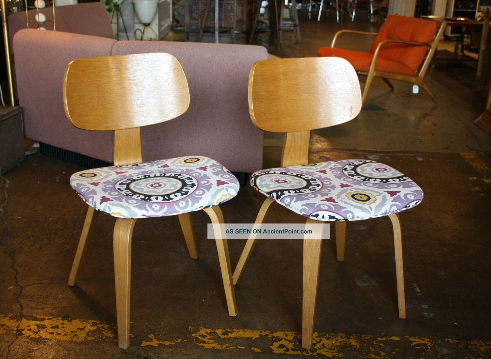 Classic Thonet Bentwood Chair (pair) - Reupholstered - 6556 Mid-Century Modernism photo