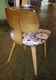 Classic Thonet Bentwood Chair (pair) - Reupholstered - 6556 Mid-Century Modernism photo 3