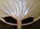 2 Sconces ' Uchiwa Iii ' By Ingo Maurer In Bamboo & Japanese Paper Chandeliers, Fixtures, Sconces photo 1