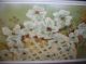 Carlo Of Hollywood Framed Painting Flowers Over 5 Feet Mid-Century Modernism photo 1