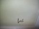 Carlo Of Hollywood Framed Painting Flowers Over 5 Feet Mid-Century Modernism photo 2