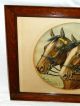 Handsome Antique Print Of Horses In Solid Oak Frame Old Wavy Glass Wow Picture Frames photo 2