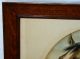 Handsome Antique Print Of Horses In Solid Oak Frame Old Wavy Glass Wow Picture Frames photo 5