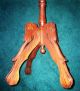 1870 ' S Table - Dog Head (with Long Tongue) Fern Stand - Solid Walnut - Gorgeous 1800-1899 photo 3