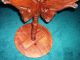 1870 ' S Table - Dog Head (with Long Tongue) Fern Stand - Solid Walnut - Gorgeous 1800-1899 photo 7