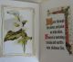 Victorian Gift Booklet Abide With Me By H.  F.  Lyte Illuminuated,  Lovely Chromos Victorian photo 1