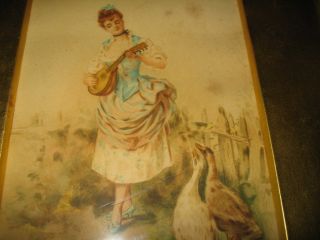 Antique V Willis Watercolor 1900 ' S Woman Geese Painting photo