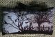 Primitive Halloween Cemetery Night Time Scene Fabric Panel Crows Trees Moon Primitives photo 1
