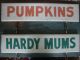 Awesome Double - Sided Pumpkins Farm Stand Trade Sign Aafa Primitives photo 6