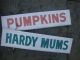 Awesome Double - Sided Pumpkins Farm Stand Trade Sign Aafa Primitives photo 7