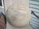 An Outstanding,  American Burl Bowl,  Huge Untouched Surface,  Very Rare Primitives photo 5