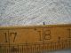 Antique Brass And Boxwood Folding Ruler ~made In England~ Primitives photo 9