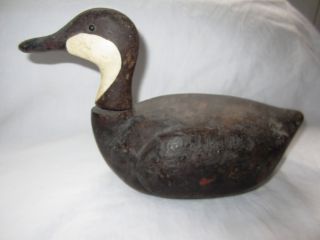 Excellent Early South American Antique Duck Decoy photo