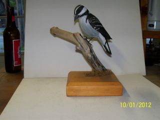 Hand Carved Woodpecker photo