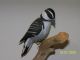 Hand Carved Woodpecker Primitives photo 1