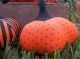 Gathering Of Primitive Handmade Pumpkins - Fall/harvest/halloween Decoration Primitives photo 4
