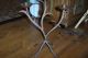 Early Rare 19th C Wrought Iron Folk Art Candle Holder Twig And Leaves Metalware photo 4