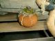 Primitive Scarecrow Doll W/ Wood Wagon & Pumpkin Harvest ~ Prim Gathering Lot Primitives photo 4