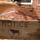 ~primitive Barn Wood Sign~notice Bull In Pasture W Leather Hanger~ Primitives photo 2