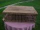 Antique Farm Chicken Crate Wood Decor,  R.  C.  Aylor & Son,  Coffee Table ? Primitives photo 6