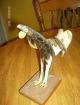 Vintage Antique Rare Bird Figurine Made From Horn - Bird On Wooden Plaque - Unusual Primitives photo 5
