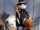 Primitive Halloween Decor Pumpkin Ghost Witch Ooak Nr Sisters Prim And Rose Orig Primitives photo 1