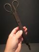 Antique 18th C Wrought Iron Scissor Pipe Ember Tongs Hearth Coal Tool Fireplace Primitives photo 5